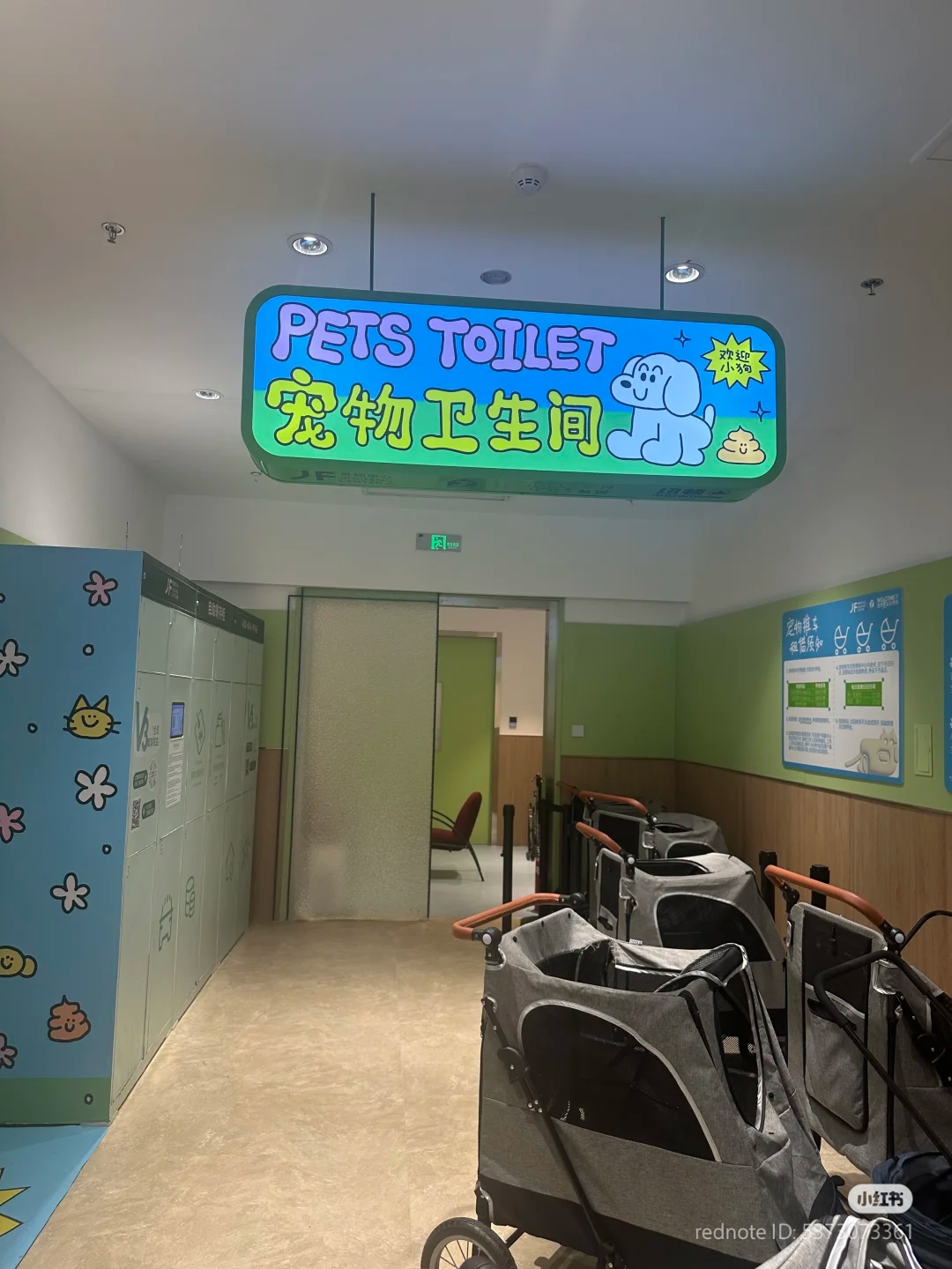 pet economy service