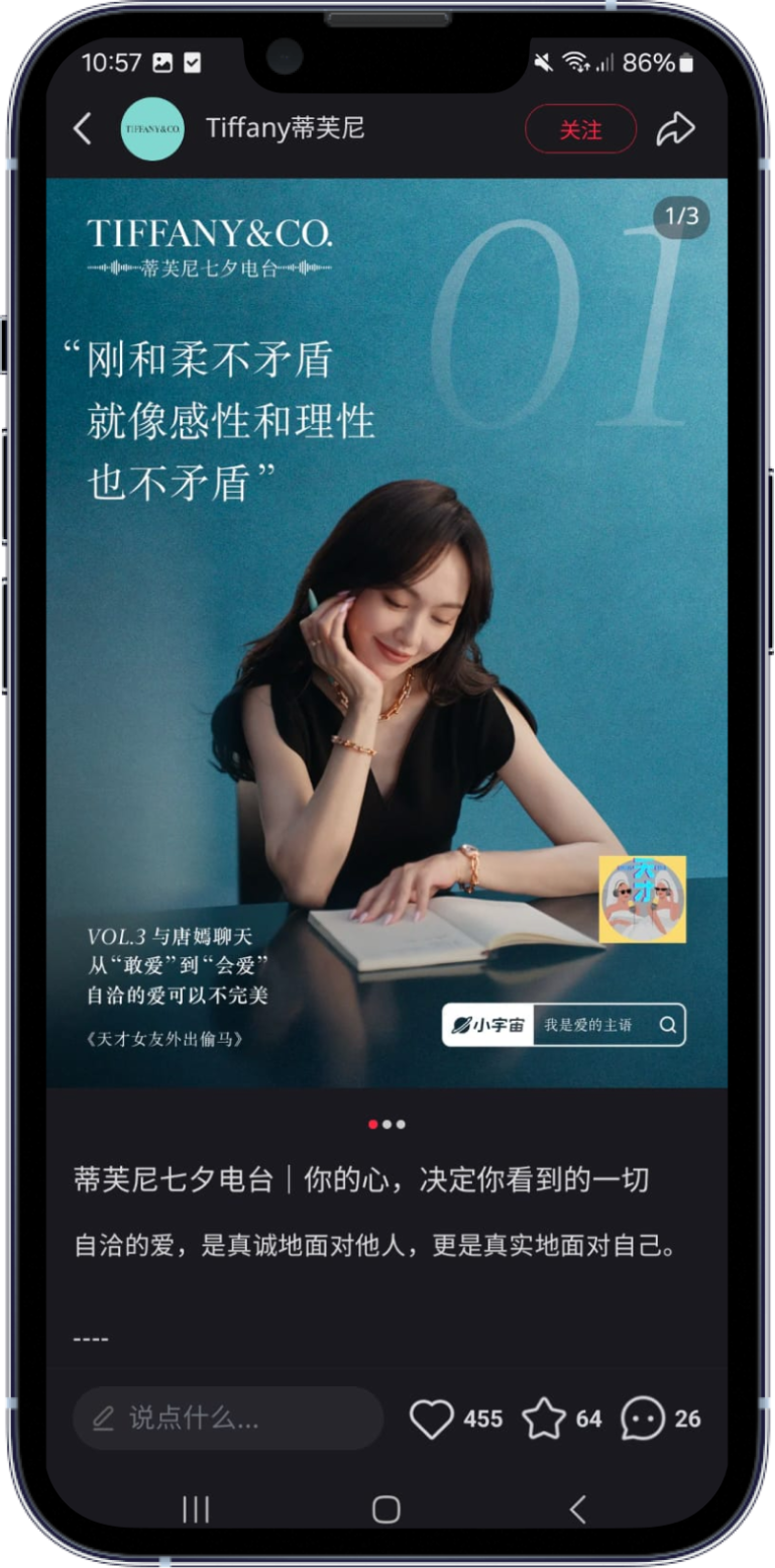 Tiffany Marketing Campaign
