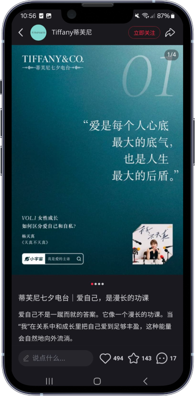 Tiffany Marketing Campaign