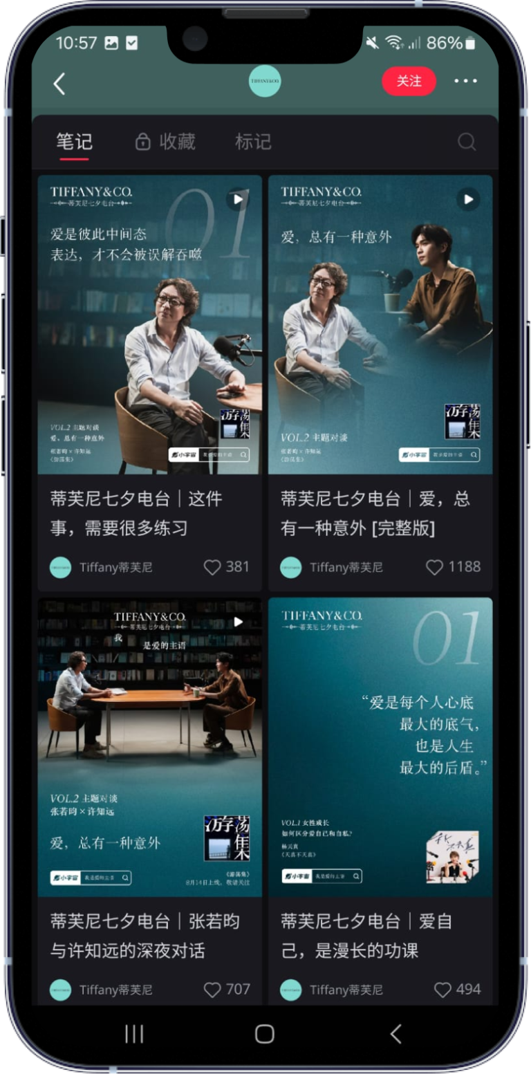 Tiffany Marketing Campaign