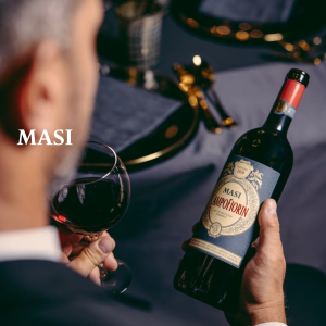masi project