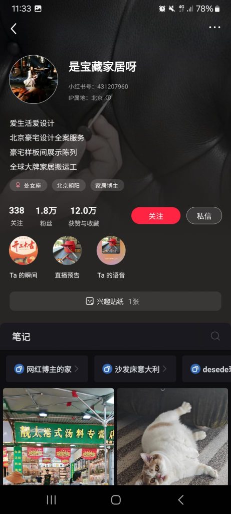 Influencer e blogger d'arredo su Xiaohongshu