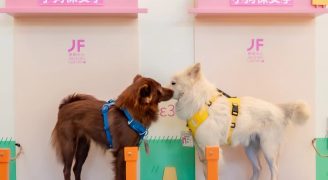 cina pet economy - Copia